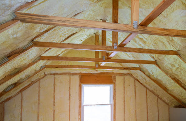 Best Insulation Repair Services  in Lake Montezuma, AZ