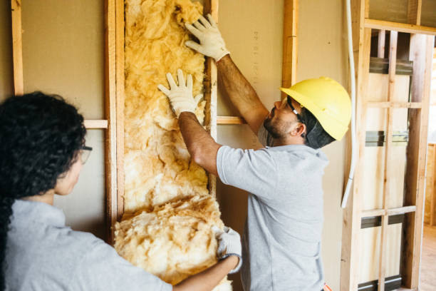 Best Garage Insulation Installation  in Lake Montezuma, AZ